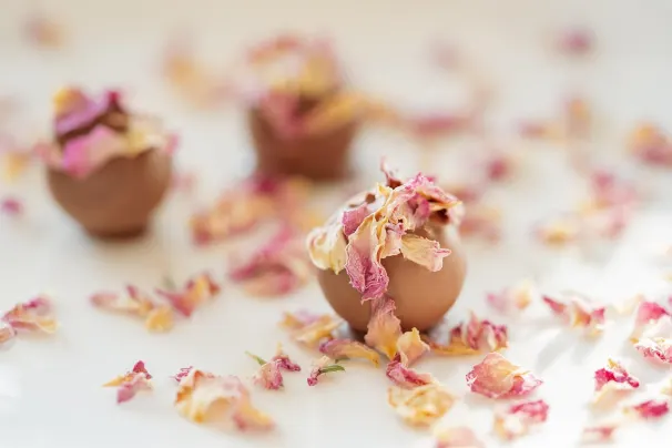 Lotus Asia Casino Android/iOS App